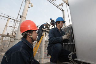 安阳供电公司提前部署元旦保电工作 确保供（配）电业务安全稳定运行